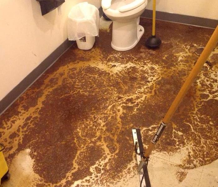 Sewage in a commercial bathroom