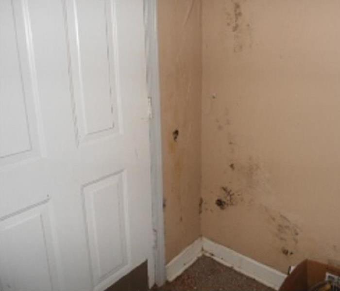 Evidence of mold on wall